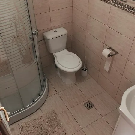 Guest house Casa Narciselor