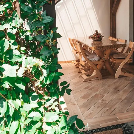 Casa Narciselor Guest house Risnov