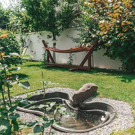 Casa Narciselor Guest house