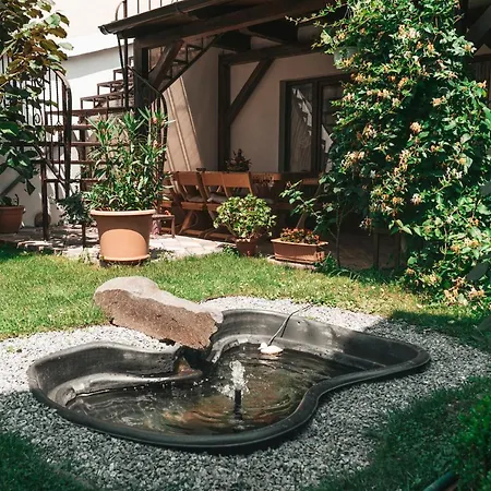 Casa Narciselor Guest house Risnov